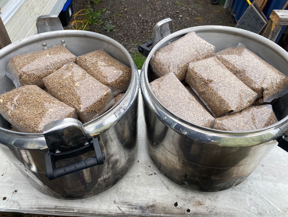 Bulk Grain Bags Spores Worldwide